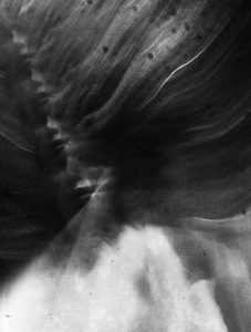 el101010100010010010010019